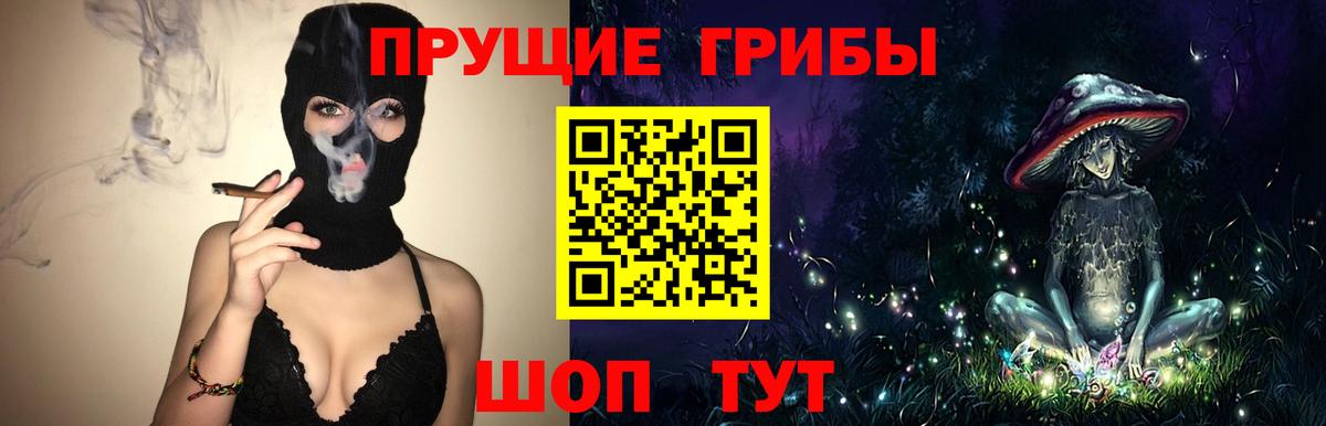Новомосковск  Псилоцибиновые грибы Magic Shrooms  Псилоцибиновые грибы ЛСД  Вход с VPN 